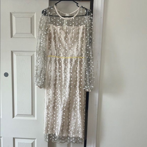 Elegant Cream Dress with Sheer Floral Overlay - Picture 1 of 5